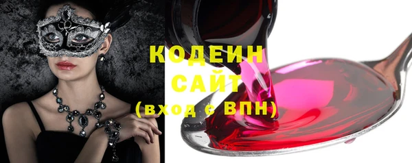 крисы Горняк