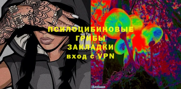 крисы Горняк