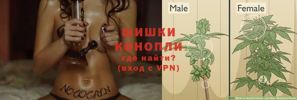 стаф Горнозаводск