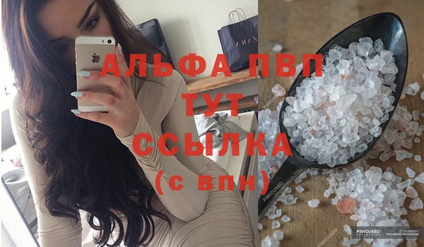 крисы Горняк