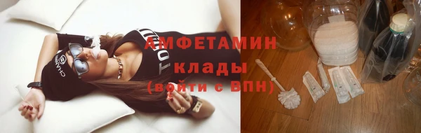 крисы Горняк