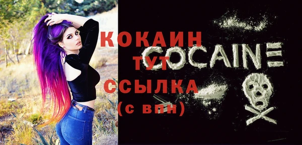 крисы Горняк