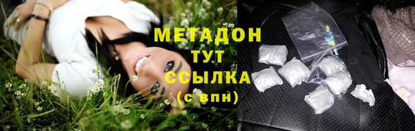 крисы Горняк