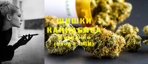 крисы Горняк