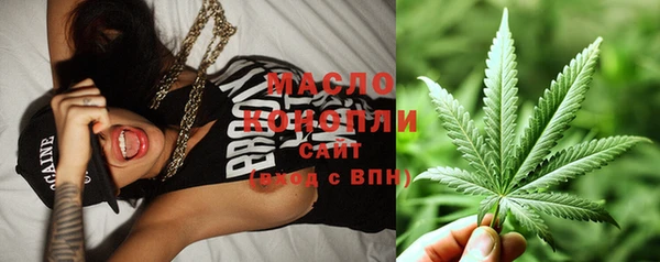 крисы Горняк